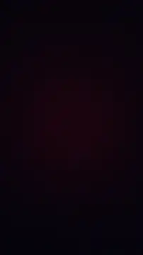 AL_Hn Webbikameraesitys