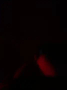 عرض كام petoys