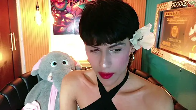 دردشة Evans_Robinson الجنسية المباشرة