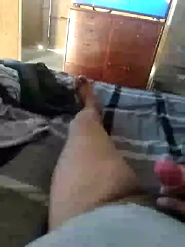 Show webcam de Pamaferto