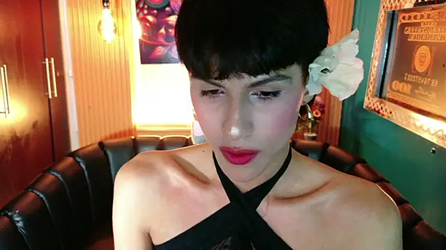 Show webcam de Evans_Robinson