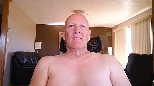 BasicAnt Show in webcam