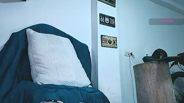 Show webcam de SilvaBranko