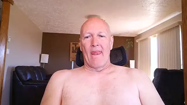BasicAnt webcam show