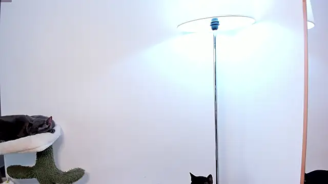 Živý XXX chat Skeeter_ss