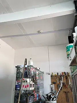 Paul22cm- 网络视讯表演