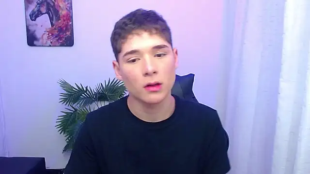 Mattass18n Webbikameraesitys