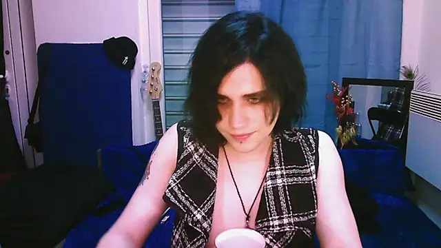 Show Webcam de sademobeer