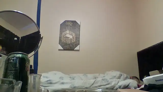 hailzeffn Webcam Show