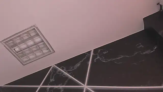 AerumChae 即時 XXX 聊天