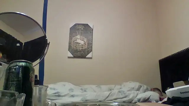 hailzeffn Webcam-Show