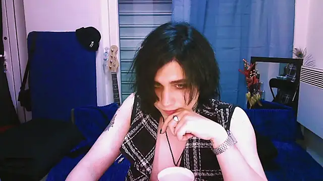 Show webcam de sademobeer