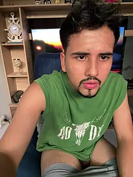 AlexGameplay Webcam show