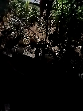 itsmemadhu2019's Webcam Show