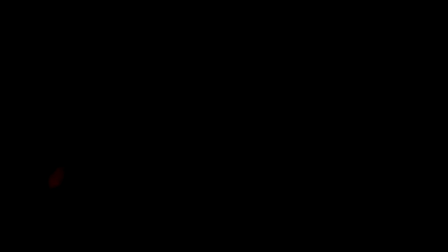 Pokazy przed kamerką – fntbzh56