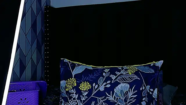 Chat +18 de shybutdirtygirrll ao vivo