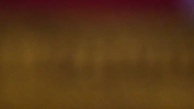 Alphapimmelchen 网络视讯表演