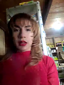Evehamp Webcam-Show