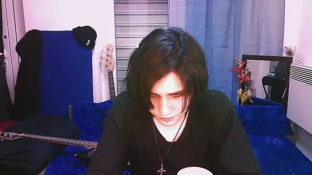 Show webcam de sademobeer