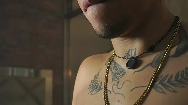 AlphaMasterXxx 现场XXX聊天
