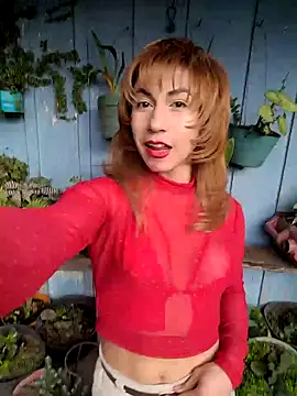 Evehamp Webcam Show