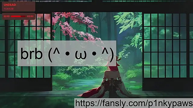 p1nkypaws 网络视讯表演