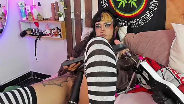 MeowMota_ – Kamerová šou