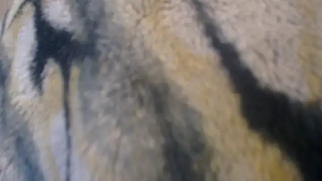 Divineblond – Naživo XXX chat