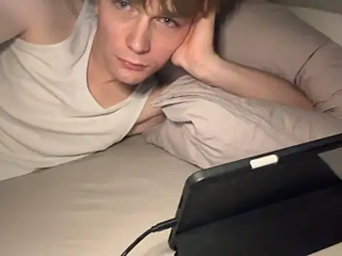 hentyX Webcamshow