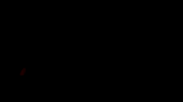 fntbzh56n Webbikameraesitys