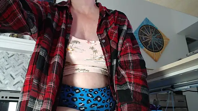 Show Webcam de AuroraWillows