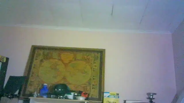 _P3RKY_IMMORTAL3_FIR3_: διαδικτυακό σόου στην κάμερα