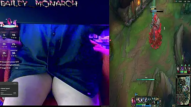 Show webcam de baileymonarch