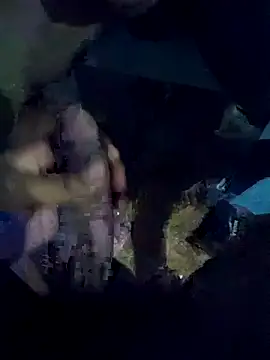 averth Show Webcam