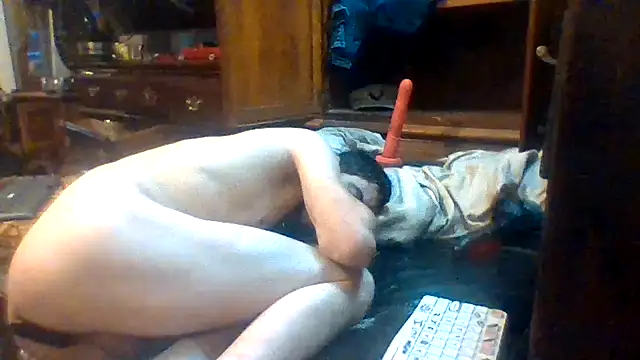 dickencidr's Webcam Show