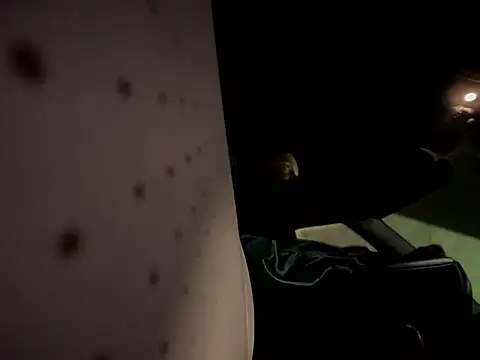 RawRyder8 Show in webcam