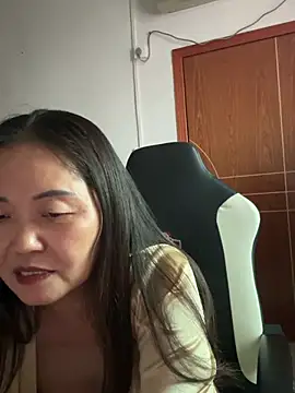 Show Webcam de hannzn