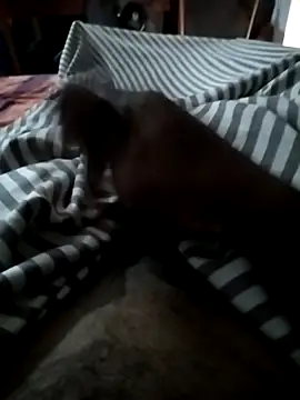 MalingamaxKnee Webcam-Show