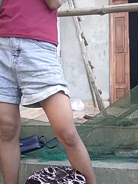 Hoa-tuylip Show Webcam
