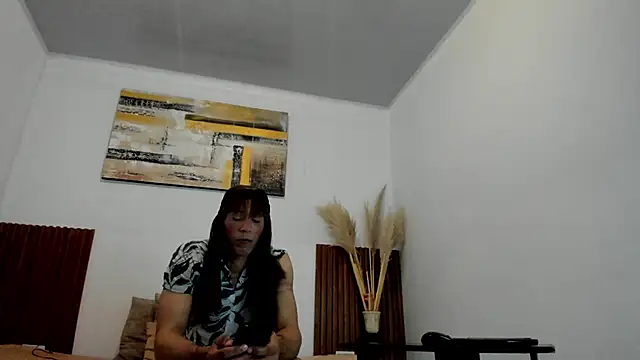 jean_sneidern Webbikameraesitys