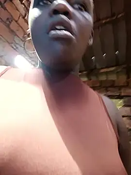 holygrail001n Webbikameraesitys