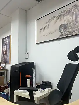 Cunzhangshibage02 webcam show