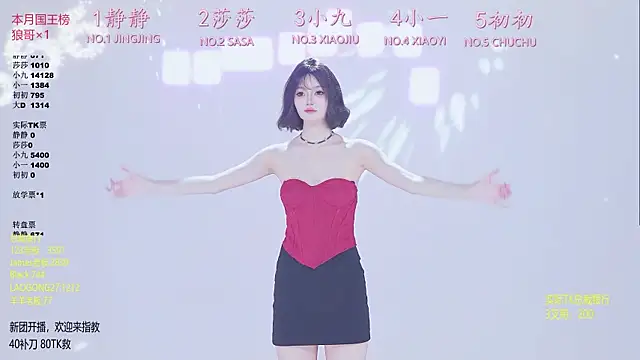 TY-002 网络视讯表演