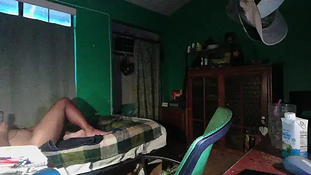 Show Webcam de _______the