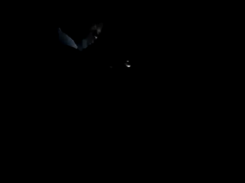 Blkstylion Live XXX-Chat
