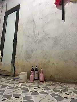دردشة bingbo123 الجنسية المباشرة