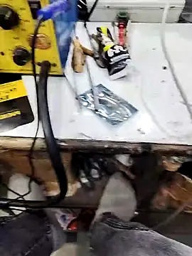 X-boy-11 Pertunjukan Webcam