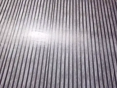 DivesOmnibus Webcam-Show