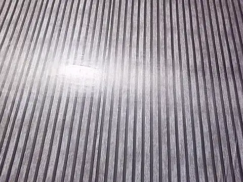 DivesOmnibus Webcamshow