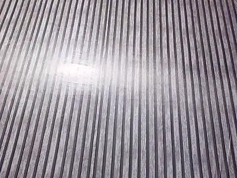 DivesOmnibus Show in webcam